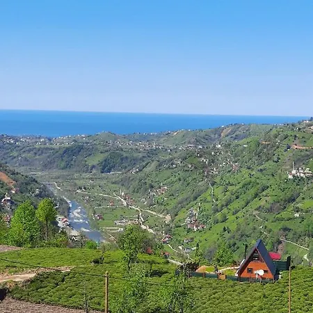 Buli Bungalow Chalet